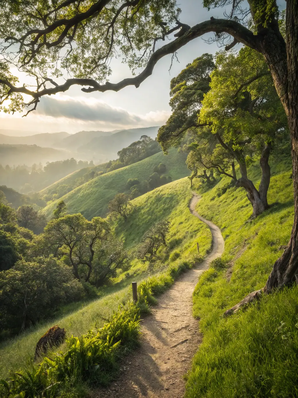 A scenic view of participants engaging in a nature walk organized by CPELD, highlighting the exploration of local flora and fauna in the Lot et Dourdou region.